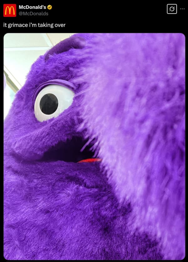 Instagram photo (extreme close-up) of a large furry purple monster with googly eye known as Grimace, a mascot for McDonald
